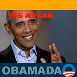 ObamaDAO #229