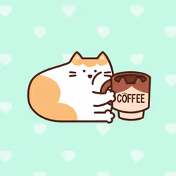 591