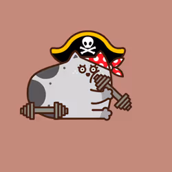 455