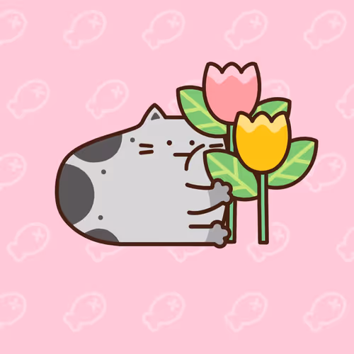 Catddle