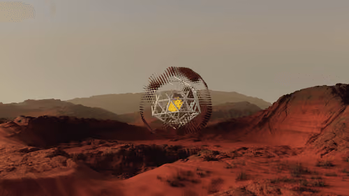 FEW Paradigm #446