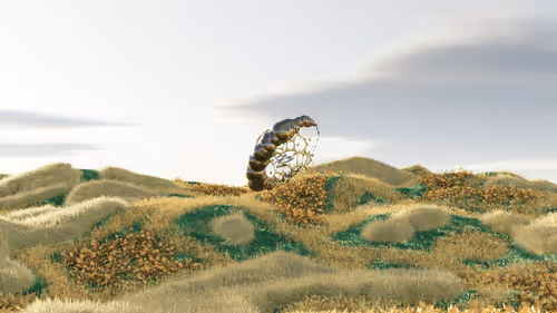 Few Paradigm