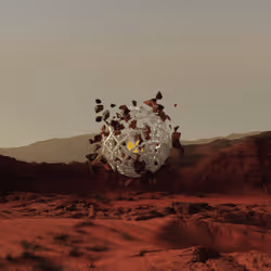 FEW Paradigm #48