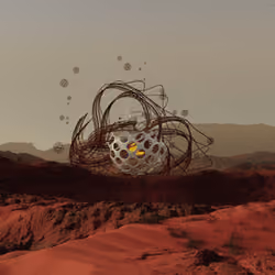 FEW Paradigm #185