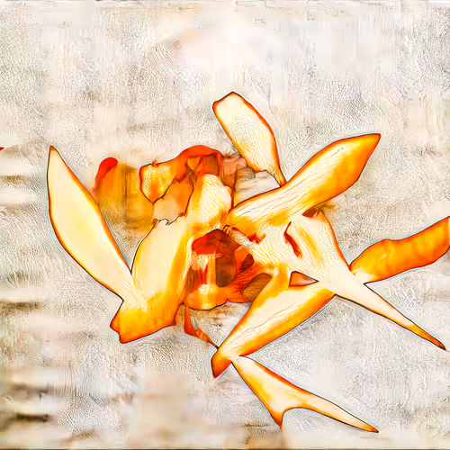 Art Not Real