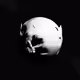 FrankieHigh-Transient_Begin_2025