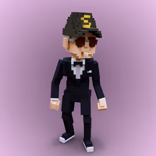 Svcc Voxels