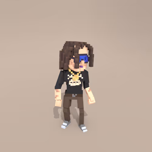 Svcc Voxels
