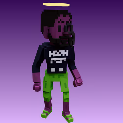 Svcc Voxels
