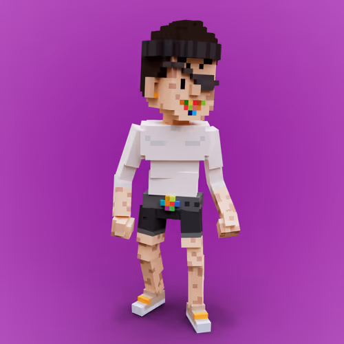 Svcc Voxels