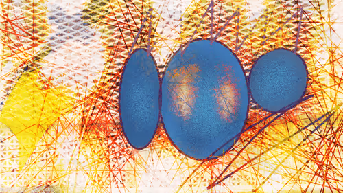 100081720131481145404775848772424159501