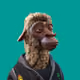 1555