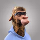 4202