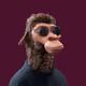 3976