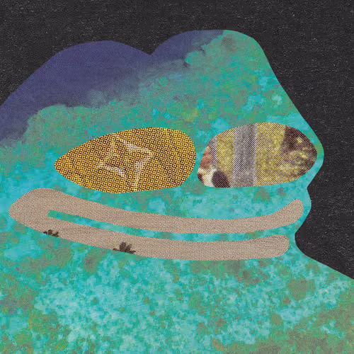 Frog Is Life