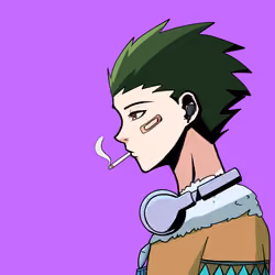Project Kaito #5040