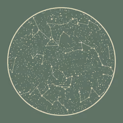 TwelveUniverse #240