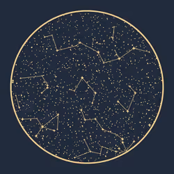 TwelveUniverse #245