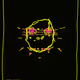 2960