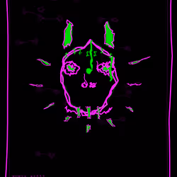 FREAK8533