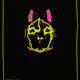 FREAK6206