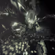 47700020010