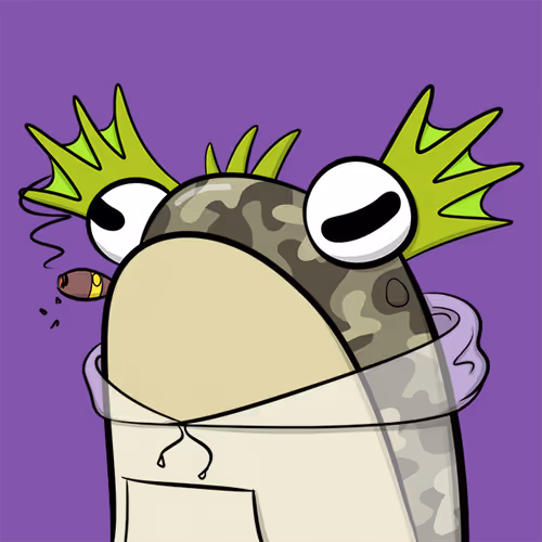 Fly Frogs