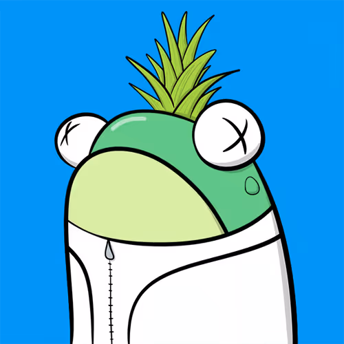 Fly Frogs