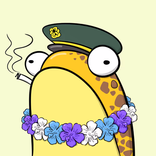 Fly Frogs