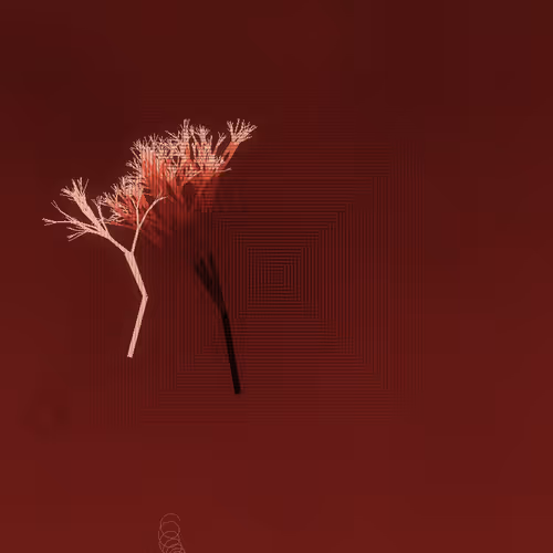 Void Matter