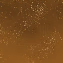 186