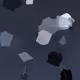 409
