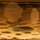 351