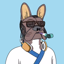 Bored Frenchie Island Club #1856