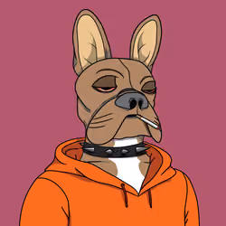 Bored Frenchie Island Club #1249