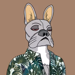 Bored Frenchie Island Club #596