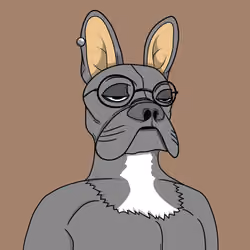 Bored Frenchie Island Club #1605