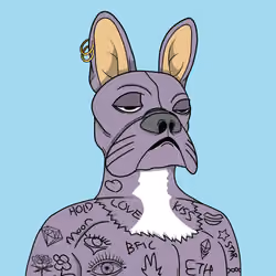 Bored Frenchie Island Club #620
