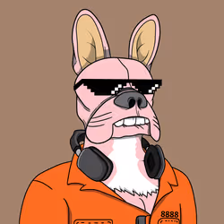 658