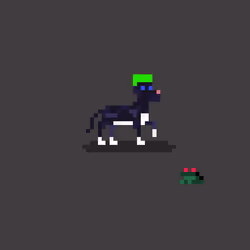 Bitz Kennel #85