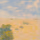 Impressions