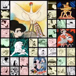 Phoenix / 火の鳥