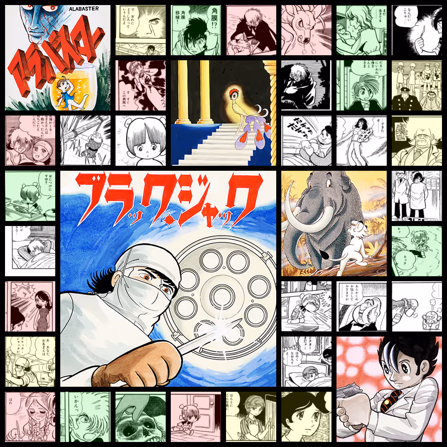 Black Jack / ブラック・ジャック