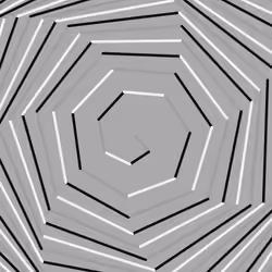 Spiral Frequencies #5884