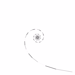 Spiral Frequencies #1313