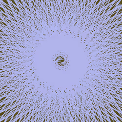 Spiral Frequencies #3372