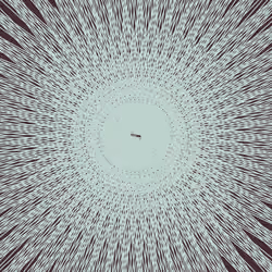 Spiral Frequencies #647