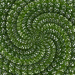 Spiral Frequencies #907