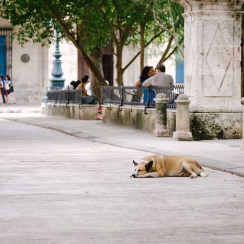 Fotosdecuba