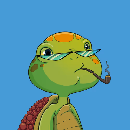 Turtle #264